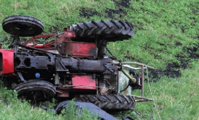zetor
