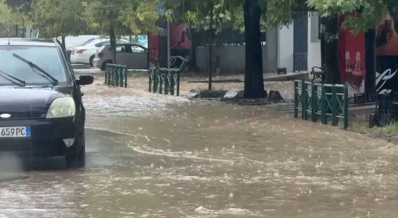 0-450-elbasan5-1783085312